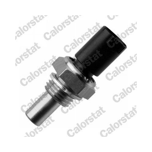 CALORSTAT by Vernet Sensor, K&uuml;hlmitteltemperatur WS3092