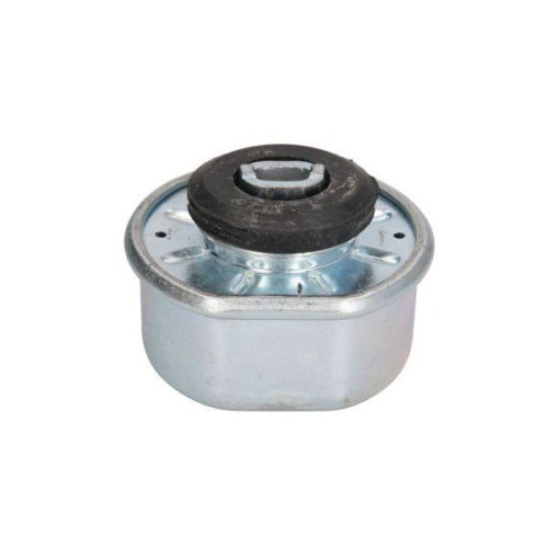 REINHOCH Lagerung, Automatikgetriebe RH11-0029