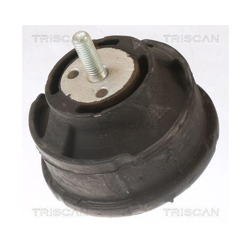 TRISCAN Lagerung, Motor 8505 11101