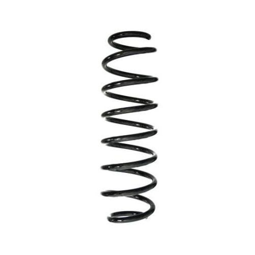 SPIDAN Fahrwerksfeder GKNW10201
