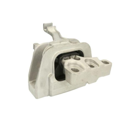 REINHOCH Lagerung, Motor RH11-0089