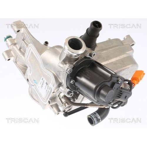 TRISCAN AGR-Ventil 8813 29321