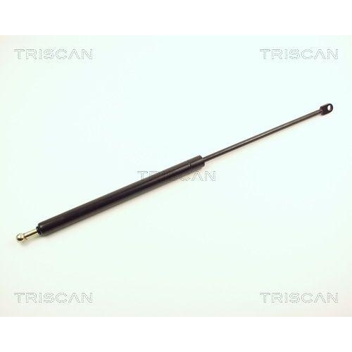 TRISCAN Gasfeder, Koffer-/Laderaum 8710 2920