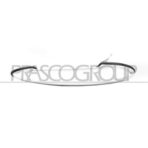 PRASCO T&uuml;rau&szlig;engriff MN3048006