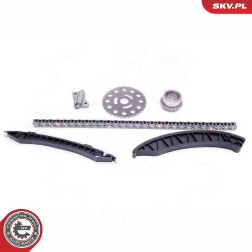 ESEN SKV Steuerkettensatz 21SKV246
