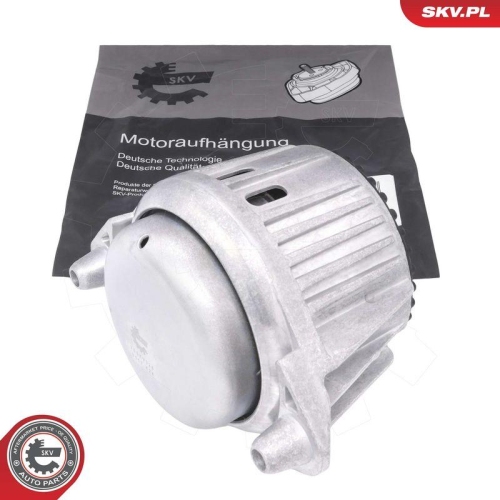 ESEN SKV Lagerung, Motor 75SKV328