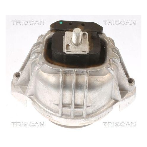 TRISCAN Lagerung, Motor 8505 11106