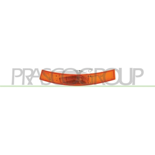 PRASCO Blinkleuchte TYC DS9604103