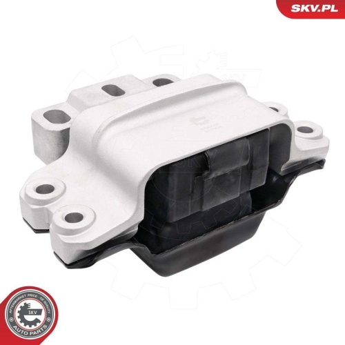 ESEN SKV Lagerung, Motor 75SKV329
