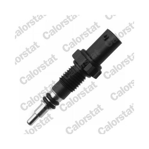CALORSTAT by Vernet Sensor, K&uuml;hlmitteltemperatur WS3091
