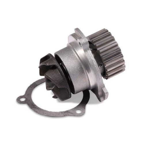 HEPU Wasserpumpe, Motork&uuml;hlung P624