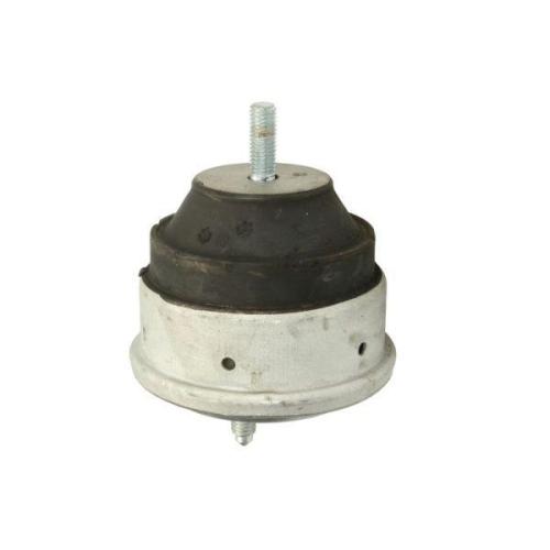 REINHOCH Lagerung, Motor RH11-3021