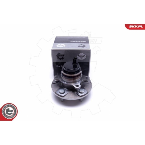 ESEN SKV Radlagersatz