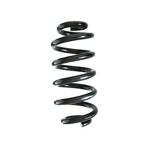 SPIDAN Fahrwerksfeder GKNW10205