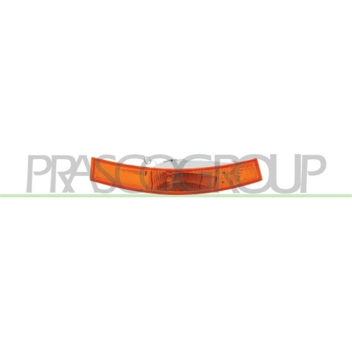 PRASCO Blinkleuchte TYC DS9604104
