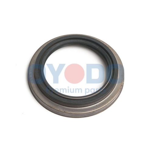 Oyodo Wellendichtring, Antriebswelle