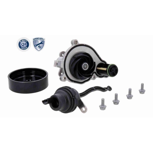 VAICO Wasserpumpe, Motorkühlung EXPERT KITS + V20-50070-1
