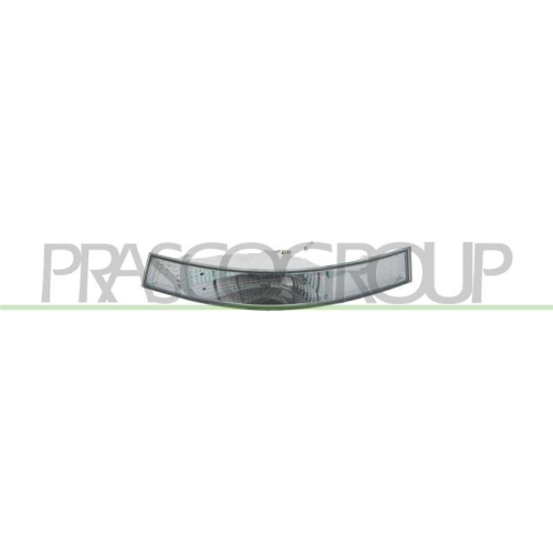 PRASCO Blinkleuchte TYC DS9604113