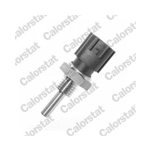 CALORSTAT by Vernet Sensor, K&uuml;hlmitteltemperatur WS3001