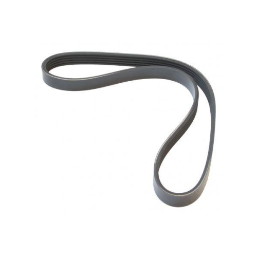 MAPCO Keilrippenriemen 250812