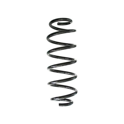 SPIDAN Fahrwerksfeder GKNW10267