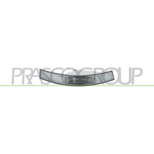 PRASCO Blinkleuchte TYC DS9604114