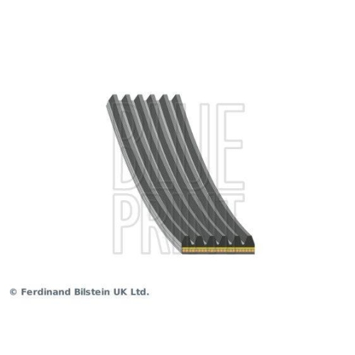 BLUE PRINT Keilrippenriemen AD06A1190