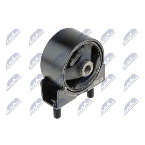 NTY Lagerung, Motor ZPS-SU-028