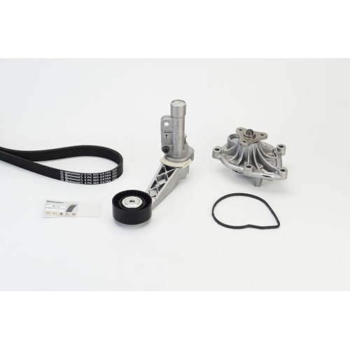 CONTINENTAL CTAM Wasserpumpe + Keilrippenriemensatz 6PK905 EXTRA WP1