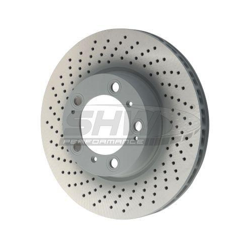 SHW Performance Bremsscheibe PFL39965
