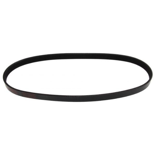 MAPCO Keilrippenriemen 250835