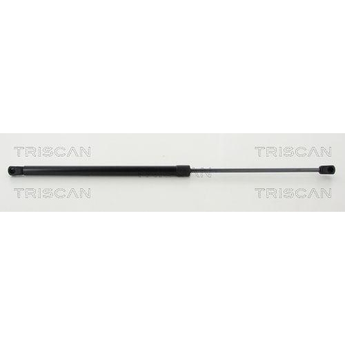 TRISCAN Gasfeder, Koffer-/Laderaum 8710 292041