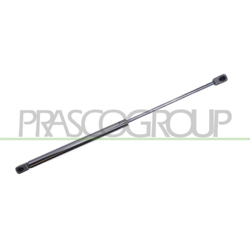 PRASCO Gasfeder, Koffer-/Laderaum CI3249055