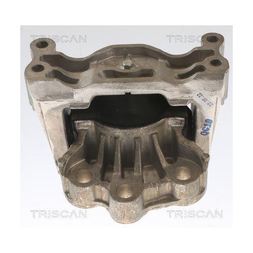 TRISCAN Lagerung, Motor 8505 16121
