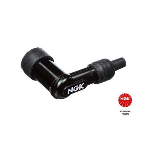 NGK Stecker, Z&uuml;ndkerze 8031