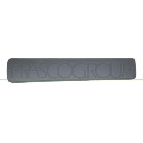PRASCO Zier-/Schutzleiste, T&uuml;r DS9521403