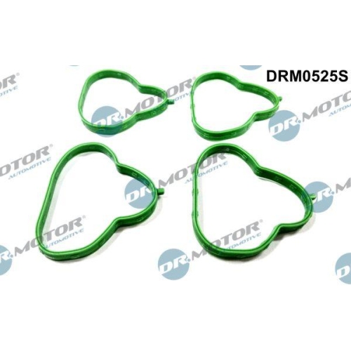 Dr.Motor Automotive Dichtungssatz, Ansaugkr&uuml;mmer DRM0525S