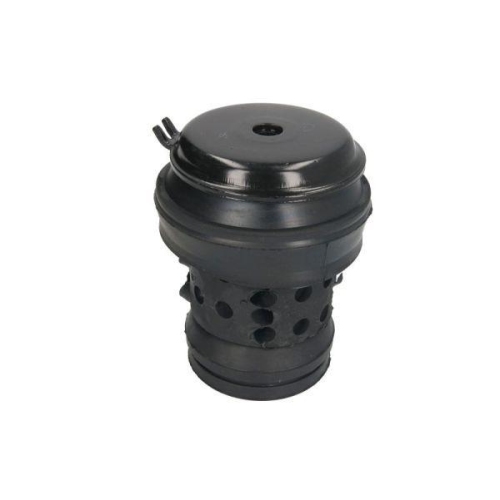 REINHOCH Lagerung, Motor RH11-0005
