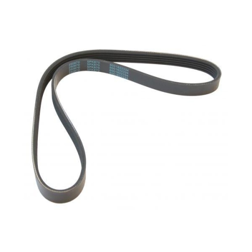 MAPCO Keilrippenriemen 250870