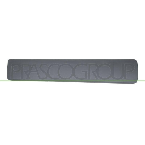 PRASCO Zier-/Schutzleiste, T&uuml;r DS9521404