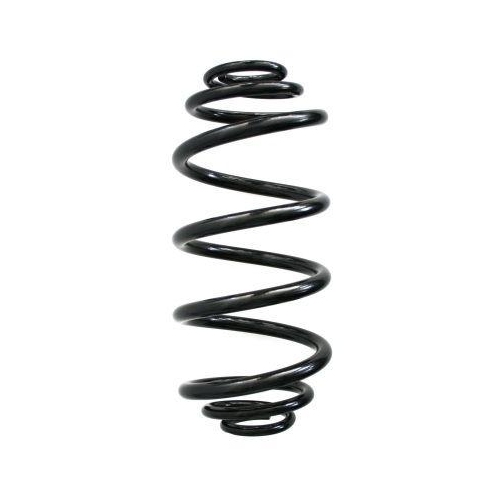 SPIDAN Fahrwerksfeder