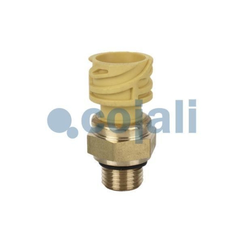 COJALI Sensor 2260284