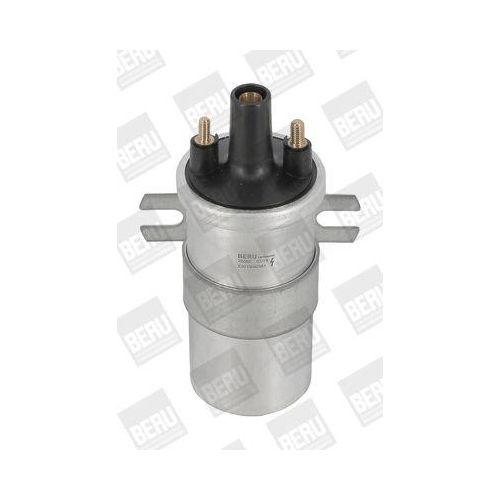 BorgWarner (BERU) Z&uuml;ndspule ZS565
