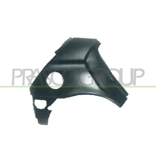 PRASCO Seitenwand FD0503063