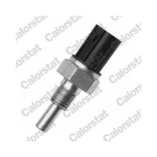 CALORSTAT by Vernet Sensor, K&uuml;hlmitteltemperatur WS3036