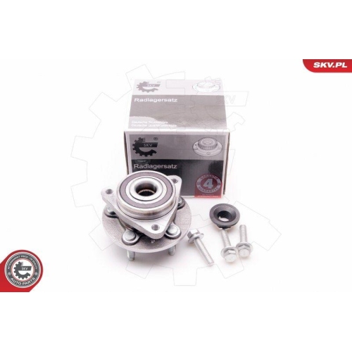 ESEN SKV Radlagersatz 29SKV124