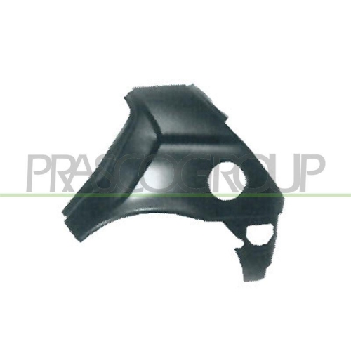 PRASCO Seitenwand FD0503064