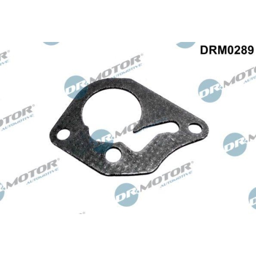Dr.Motor Automotive Dichtung, Unterdruckpumpe DRM0289