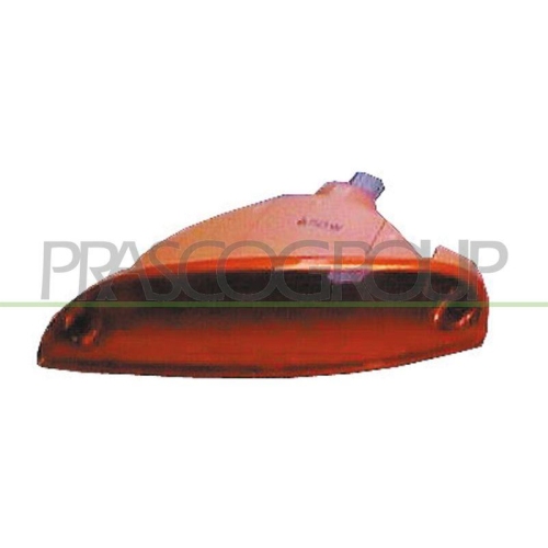 PRASCO Lichtscheibe, Blinkleuchte TYC DW3204103