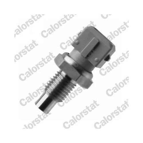 CALORSTAT by Vernet Sensor, K&uuml;hlmitteltemperatur WS3111